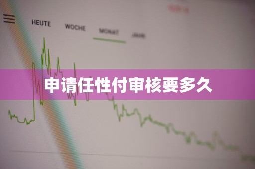 申请任性付审核要多久