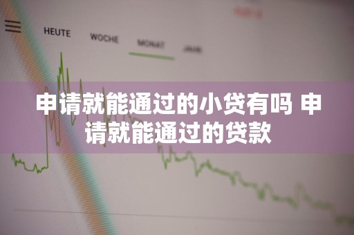 申请就能通过的小贷有吗 申请就能通过的贷款