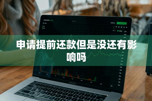 申请提前还款但是没还有影响吗