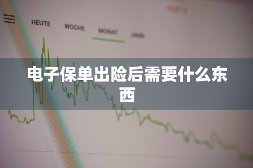 电子保单出险后需要什么东西