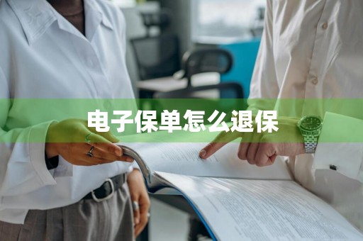 电子保单怎么退保