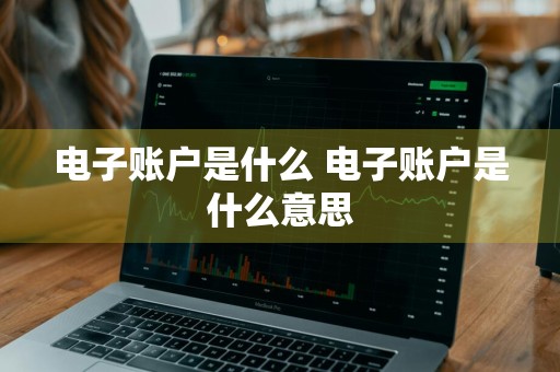 电子账户是什么 电子账户是什么意思