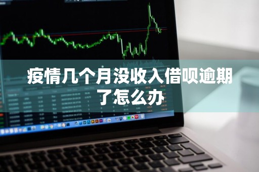 疫情几个月没收入借呗逾期了怎么办