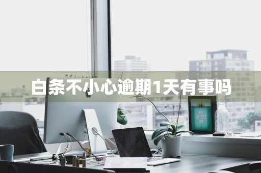 白条不小心逾期1天有事吗