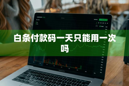 白条付款码一天只能用一次吗