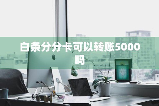 白条分分卡可以转账5000吗