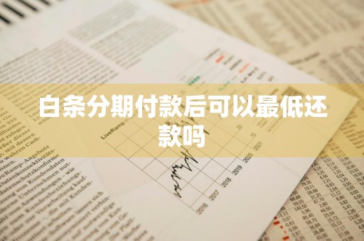白条分期付款后可以最低还款吗