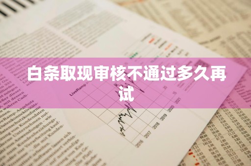 白条取现审核不通过多久再试