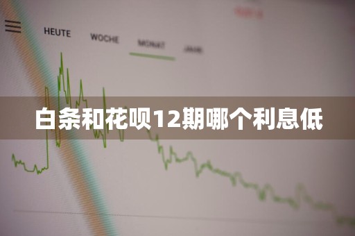 白条和花呗12期哪个利息低