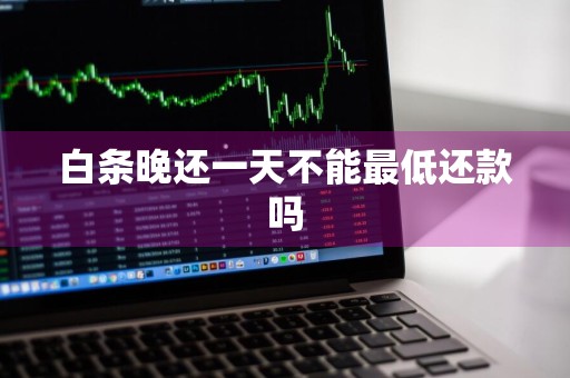白条晚还一天不能最低还款吗