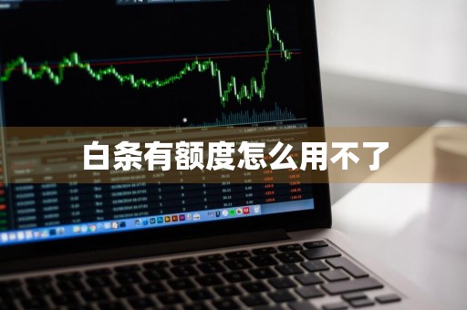 白条有额度怎么用不了