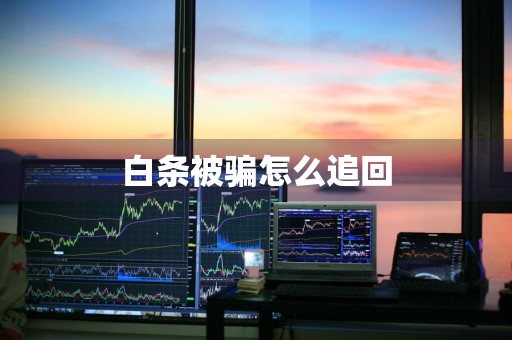 白条被骗怎么追回