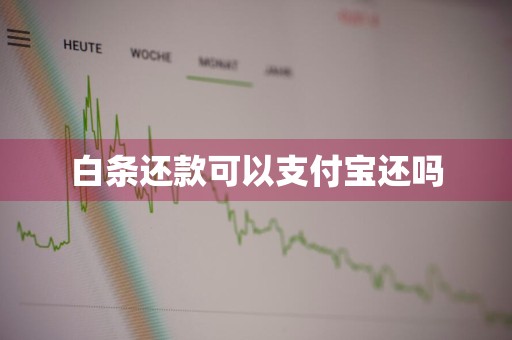 白条还款可以支付宝还吗