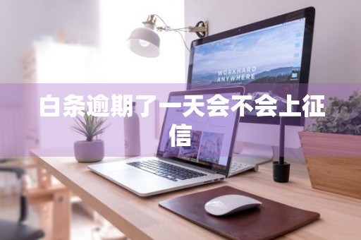 白条逾期了一天会不会上征信
