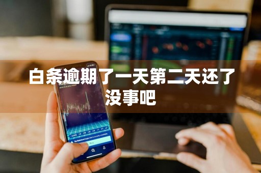 白条逾期了一天第二天还了没事吧