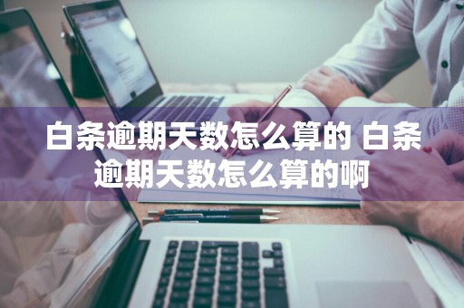 白条逾期天数怎么算的 白条逾期天数怎么算的啊