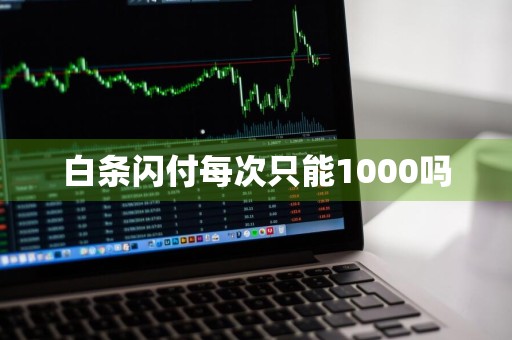白条闪付每次只能1000吗
