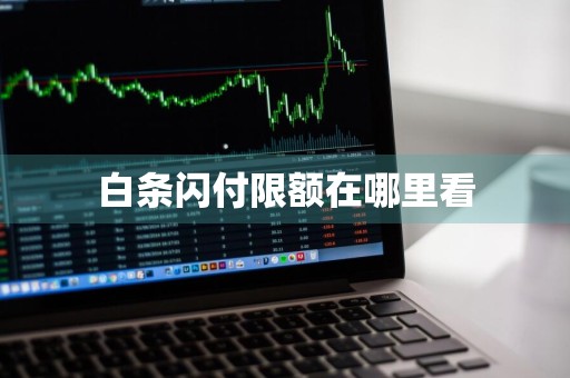 白条闪付限额在哪里看