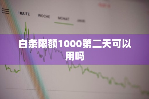 白条限额1000第二天可以用吗