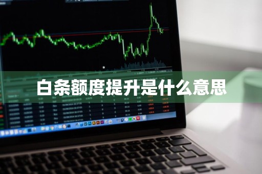 白条额度提升是什么意思
