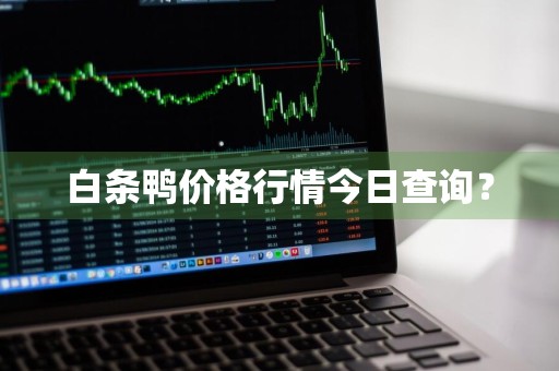 白条鸭价格行情今日查询?