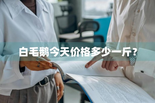 白毛鹅今天价格多少一斤?