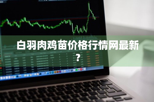 白羽肉鸡苗价格行情网最新？