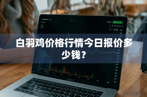 白羽鸡价格行情今日报价多少钱？