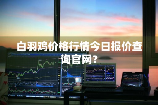 白羽鸡价格行情今日报价查询官网？