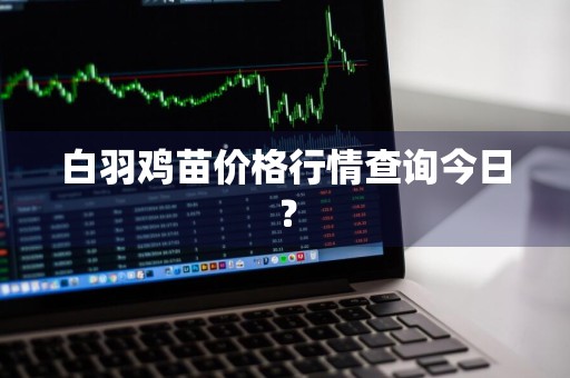 白羽鸡苗价格行情查询今日？