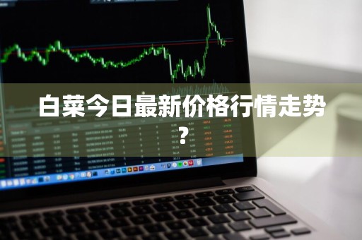 白菜今日最新价格行情走势？