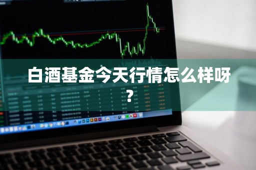 白酒基金今天行情怎么样呀？