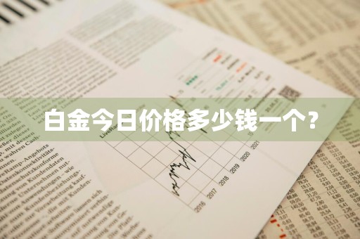 白金今日价格多少钱一个？