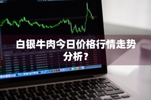 白银牛肉今日价格行情走势分析？