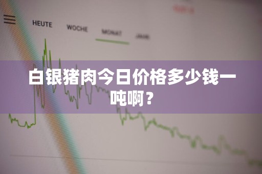 白银猪肉今日价格多少钱一吨啊？