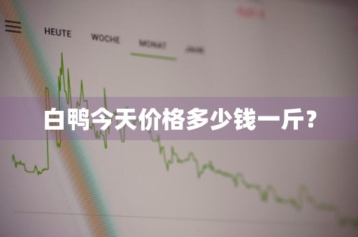 白鸭今天价格多少钱一斤？