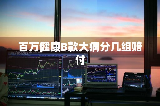 百万健康B款大病分几组赔付