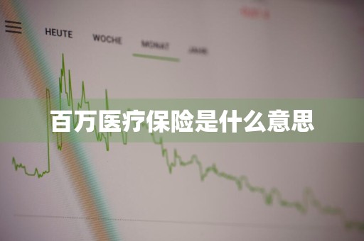 百万医疗保险是什么意思