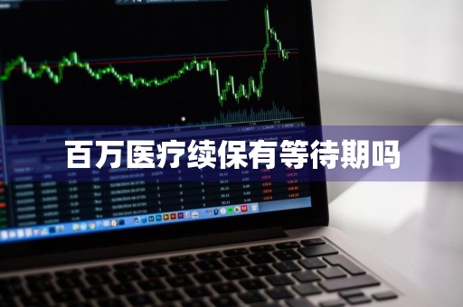 百万医疗续保有等待期吗