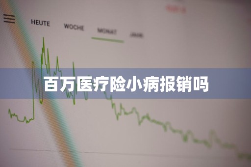 百万医疗险小病报销吗