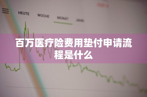 百万医疗险费用垫付申请流程是什么