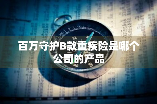 百万守护B款重疾险是哪个公司的产品