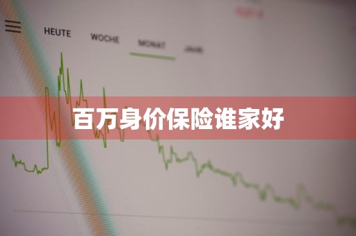 百万身价保险谁家好