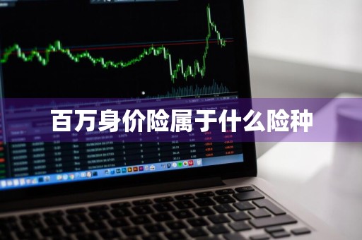 百万身价险属于什么险种