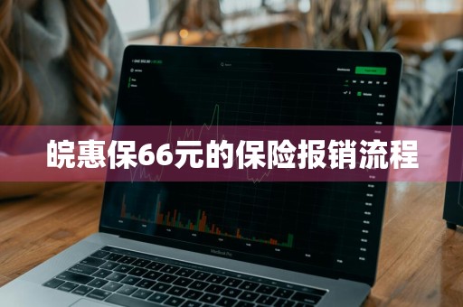 皖惠保66元的保险报销流程