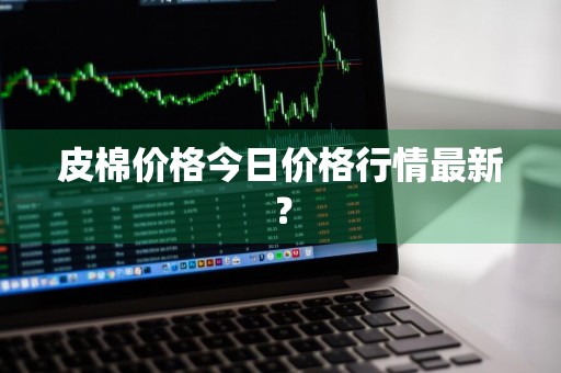 皮棉价格今日价格行情最新？