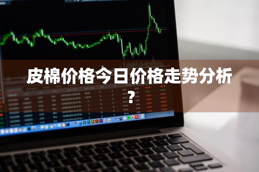 皮棉价格今日价格走势分析？