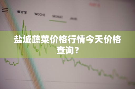 盐城蔬菜价格行情今天价格查询？
