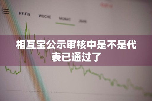 相互宝公示审核中是不是代表已通过了