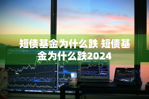 短债基金为什么跌 短债基金为什么跌2024
